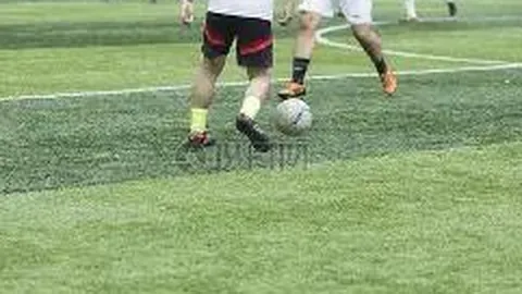 678体育 资讯 113858 v5t