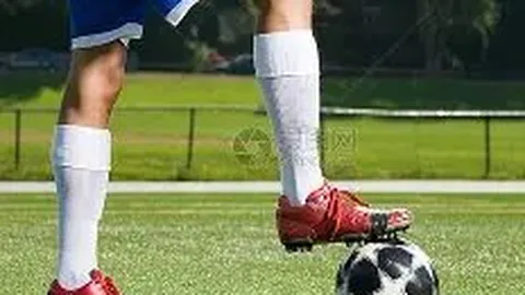 HSCEI成分股实时股价、资讯、财报一览