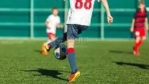 泰州日报遗失财务章、法人章公告及挂失费用查询