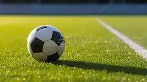 “大湾区文旅热潮迭起，十五运助力“体育湾区”升级展现”