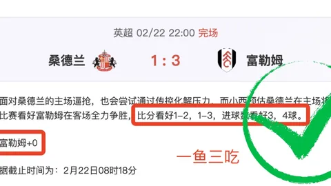 蓝黑红黑激战：AC米兰对决国际米兰